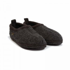 Haflinger Freddie Hausschuhe Damen Grau | RLN014298